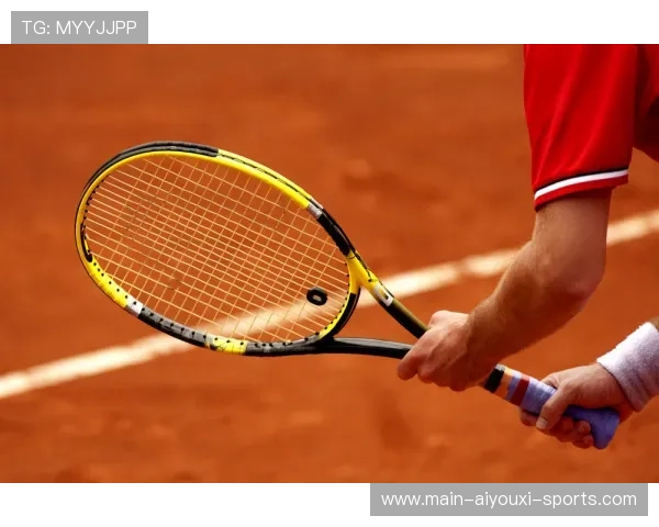 网球运动员体能监测与分析 网球运动员体能监测与分析