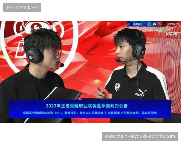 职业联赛的比赛判罚公开与透明