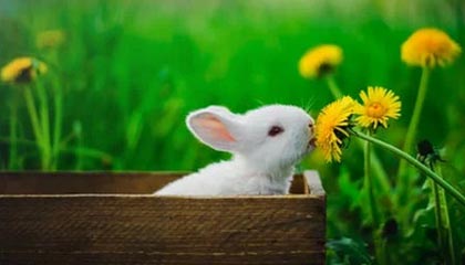 爱游戏在线登录-杨瀚森不断挑战自我突破身体极限，杨瀚森 篮球